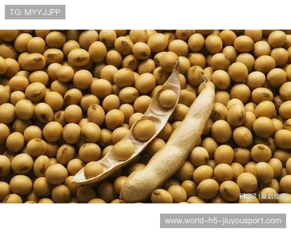 中国暂停进口美豆，国际大豆价格波动，中国暂停进口美豆,国际大豆价格波动趋势