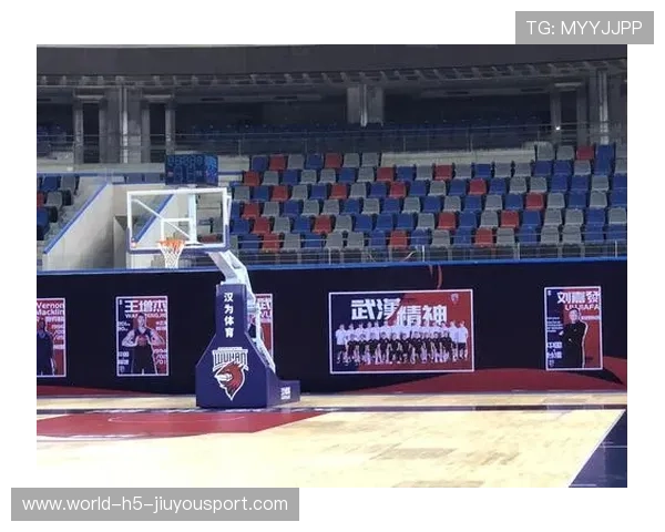 篮球衍生品在中国市场的接受度调查,篮球市场现状 篮球衍生品在中国市场的接受度调查,篮球市场现状