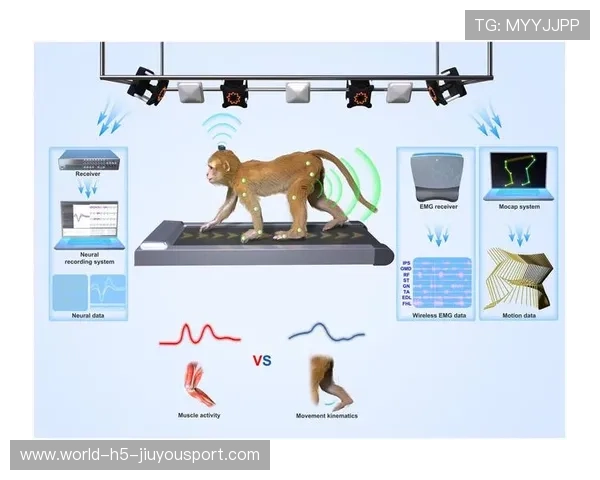 滑板动作捕捉分析在教学中的应用效率